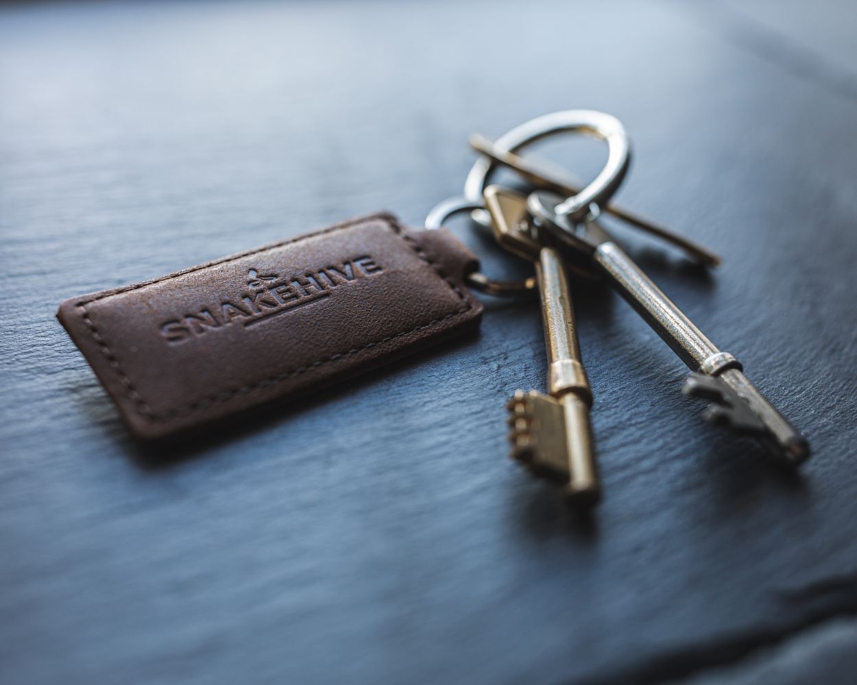 Vintage Key Ring